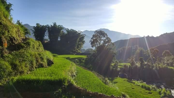 阮当住宿加早餐旅馆 萨帕 外观 照片